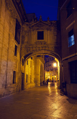 Fototapeta na wymiar street in cities of Valencia at night, Spain