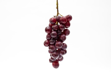 Red grape