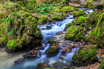 Creek deep in mountain forest