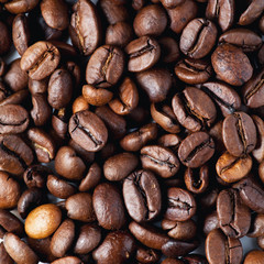 coffee beans