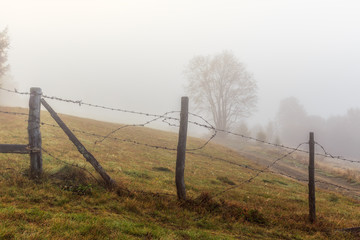 Foggy morning in Transylvania