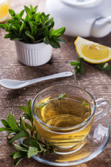 Fresh herbal tea in cup