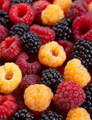 Blackberry and raspberry fruit
