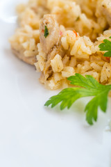 Delicious rice with pork meat and salad