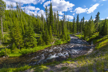 Little Firehole River near the Mystic Falls