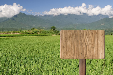 Blank wooden sign