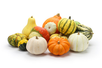 colorful pumpkin and squash collection - Powered by Adobe