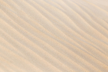 Fototapeta na wymiar beautiful background of sand in the desert