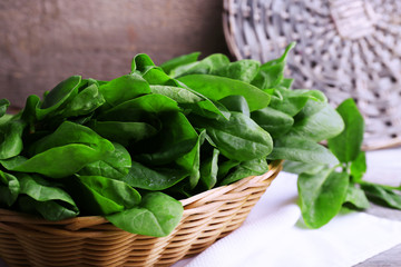 Fresh sorrel in round wicker basket