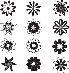 Black and White Flowers, Flower Vector