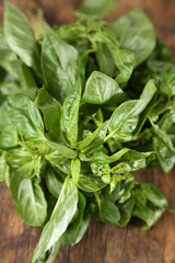 Green fresh basil on wooden background