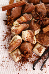 Different kinds of chocolates with spices on white background