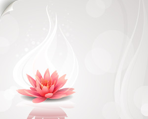 Lotus flower - 70048645