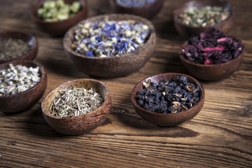 The ancient Chinese medicine
