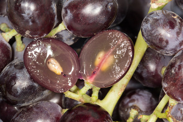 Red grape with water drops, closeup background