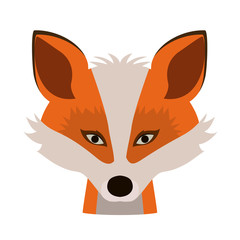 Obraz premium Animal design