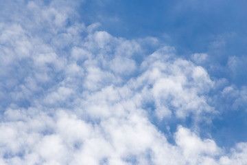 Fototapeta premium beautiful background of clouds in the sky