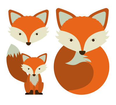 13 481 Best Fox Face Drawing Images Stock Photos Vectors Adobe Stock