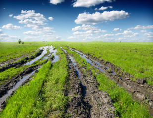 Soil is wet track tires. Natural backdrop