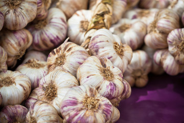 Garlic bunches in a market