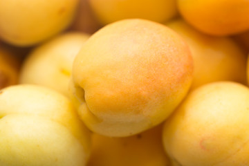 ripe apricots as background. macro