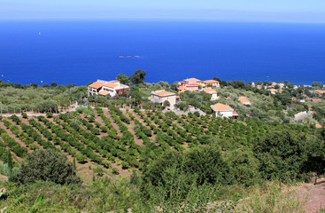 Gioiosa Marea, Sicilia
