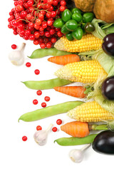 Fresh organic vegetables, close up