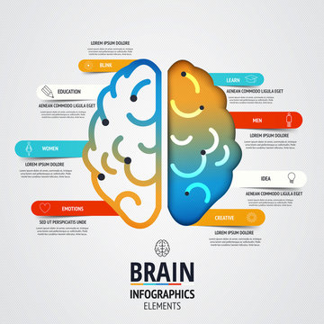 Creative brain infographics design