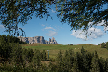 Seiser Alm - Sciliar