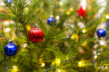 Weihnachtsbaum, Christmas tree