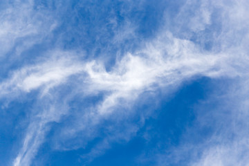 beautiful background of clouds in the sky