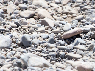 stones in nature as background