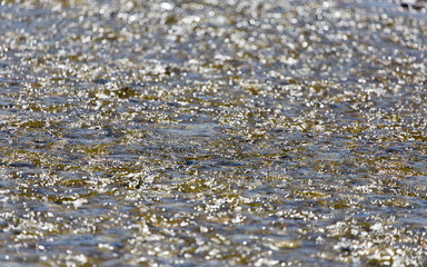 Stones in water Nature