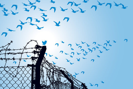 Libert&eacute; et twitt