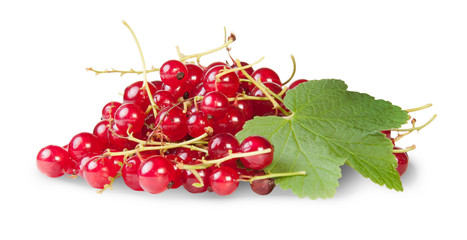 Bunch Of Red Currants With Currant Leaves Rotated