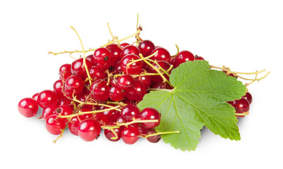 Bunch Of Red Currants With Currant Leaves