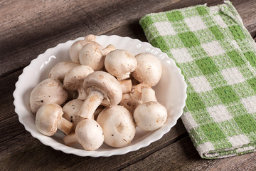 Mushrooms. © Arkadiusz Fajer