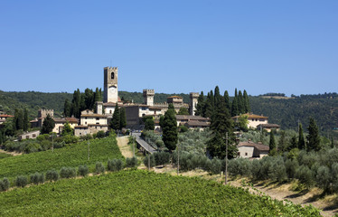 Fototapeta na wymiar Field of vines in Tuscany