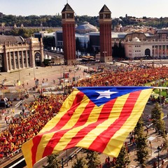 National Day of Catalonia 2014, in Barcelona, Spain
