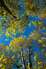 Primavera en el Escorial