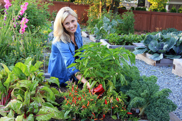 Lady vegetable gardener