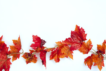 Autumn Thanksgiving Background