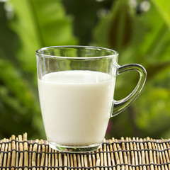 Glass of fresh milk