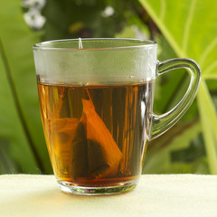 tea bags with cups