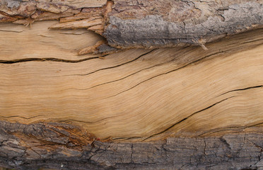 frame of cracked wood texture for background