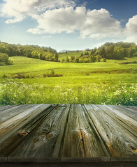 Fototapeta premium Summer pastoral background with wooden planks