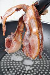bacon