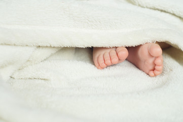 Baby Feet under blanket