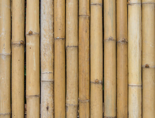 bamboo fence background texture pattern
