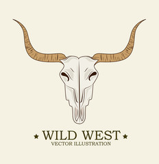Western design